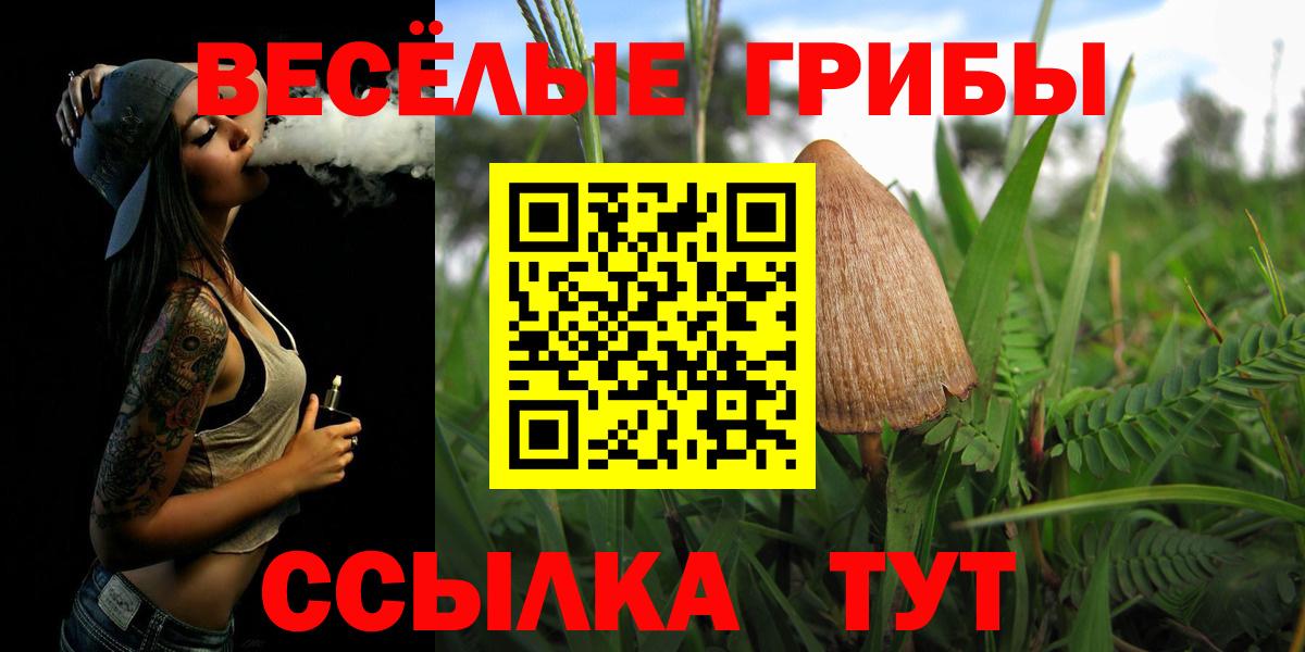 что такое   Псилоцибиновые грибы ЛСД  Вход с VPN  Галлюциногенные грибы GOLDEN TEACHER  Ковров 