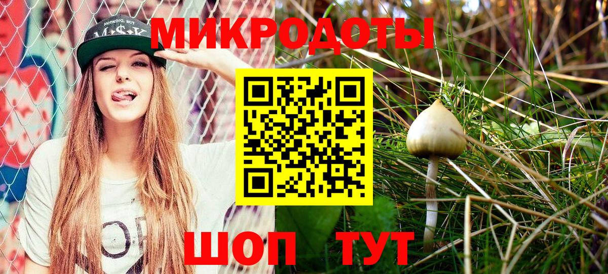 Галлюциногенные грибы Cubensis Ковров